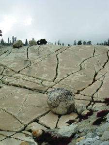 Glacier Rock