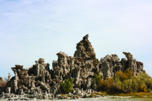 Mono Lake Tuffa