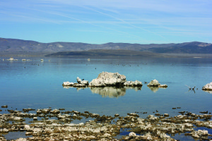 Salty Mono Lake