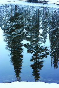 Morning Snow Reflection