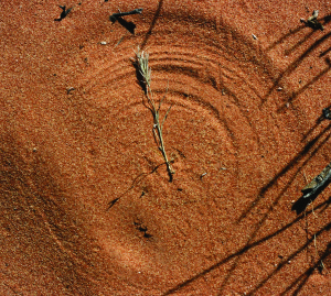 weed wind circle smaller