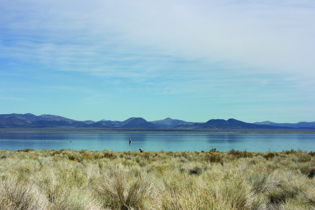 Mono Lake