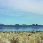 Mono Lake